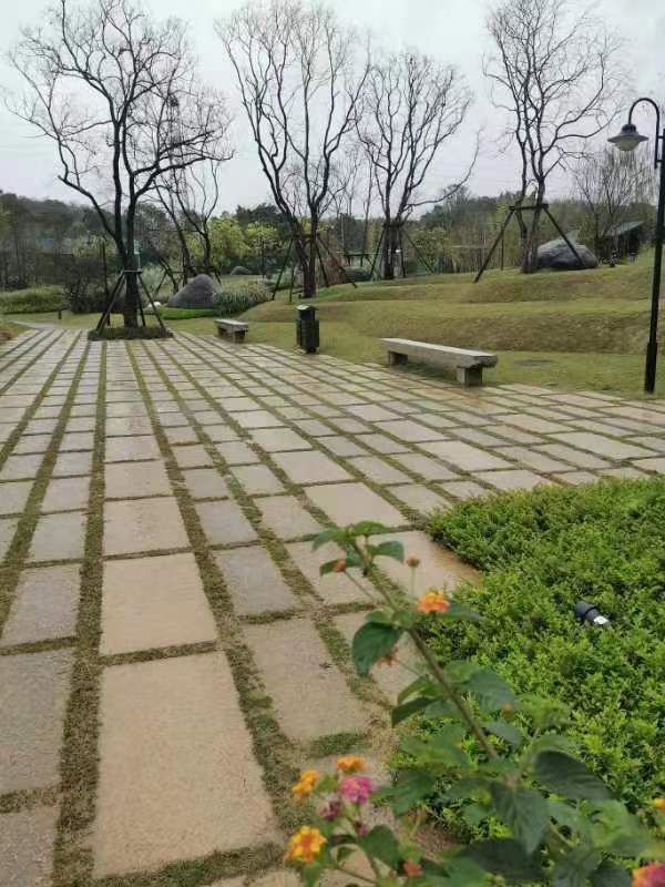 1666145957115096.png image.png